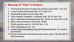 How To Study The Bible – Book By Book