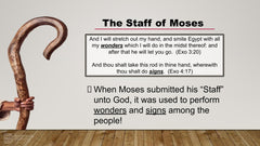The Shepherds Staff