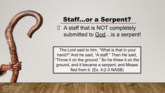 The Shepherds Staff