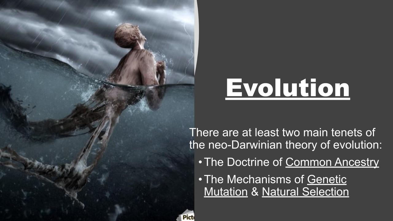 Anthropology Intensive