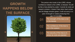 Discipleship 101: Rediscovering Our Roots