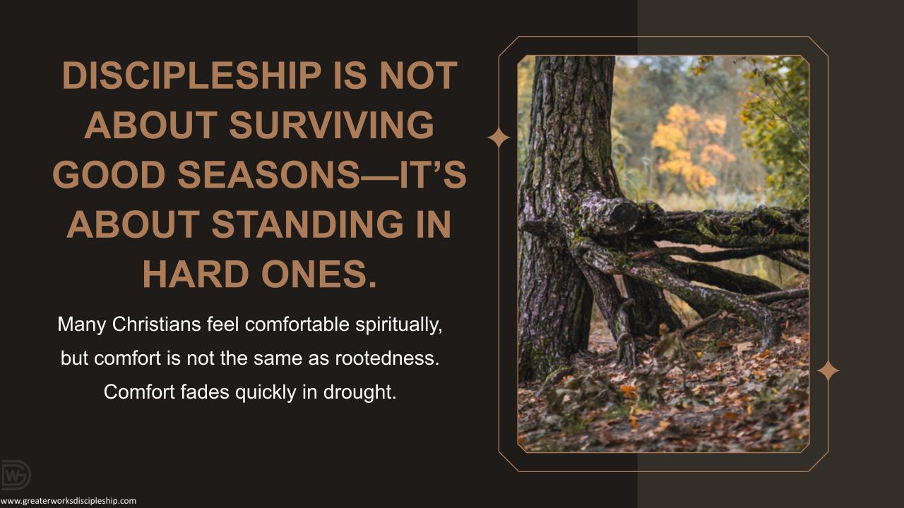 Discipleship 101: Rediscovering Our Roots
