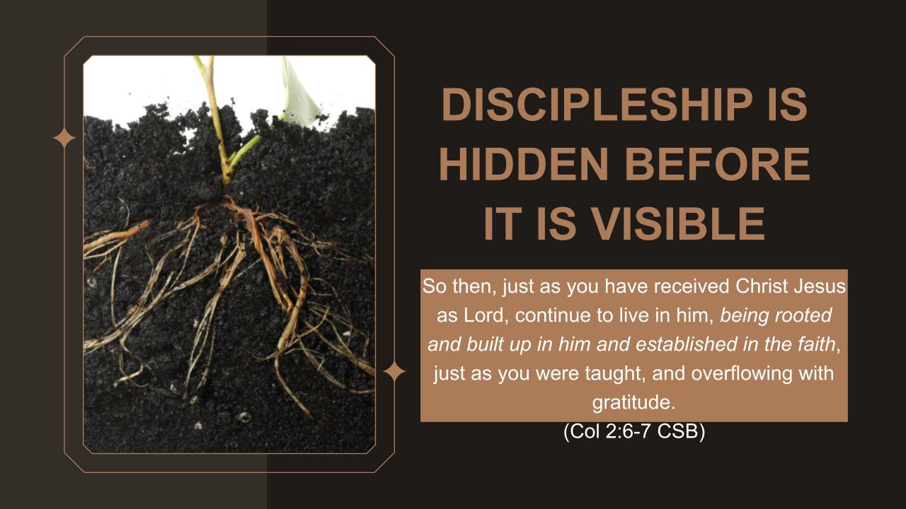 Discipleship 101: Rediscovering Our Roots