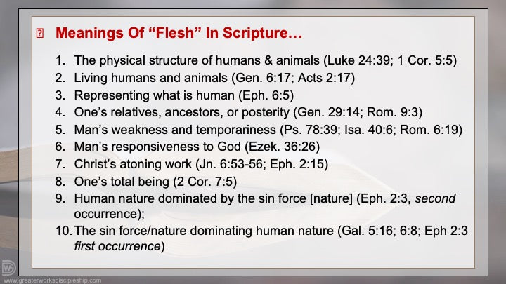 How To Study The Bible – Book By Book